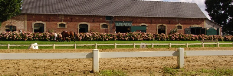 Haras des Vertus