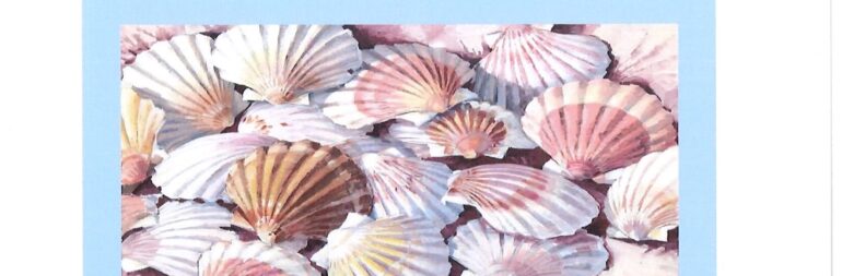 SALON DU LIVRE ET DE LA COQUILLE DIMANCHE 8 NOVEMBRE 2026 SALLE DES FETES